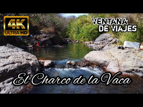 El charco de la vaca, rio termal, Cuquío, Jalisco, México. Ventana de Viajes.