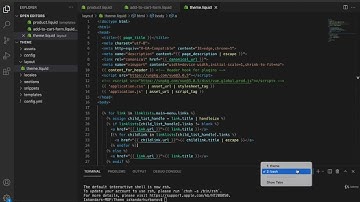 Advanced Shopify Theme Development - Adding Vue js to Product Page