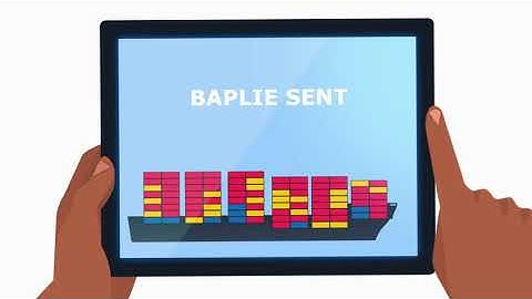 Step-by-Step Guide to Processing Documents for Import Cargo