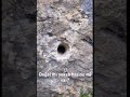 Burada birşey varmı yorumlarda buluşalım