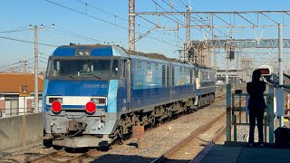 【EH200-20号機がOM入場】単8283レef65-2084号機+EH200-20号機
