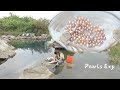 Amazing harvest, huge mussels in the lake, producing a lot of pearls