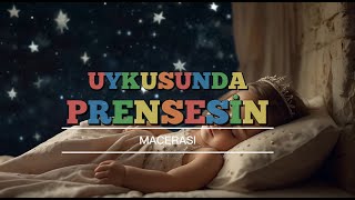 UYKUSUNDA PRENSESİN MACERASI