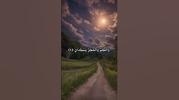 تلاوة مباركة من #سورة #الرحمن بصوت الشيخ #بدر_التركي #سورة_الرحمن #قرآن #قران_كريم