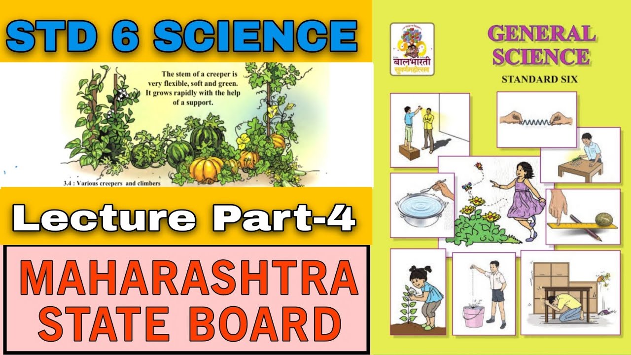 Class 6th Science Chapter 3 Diversity In Living Things And Their Class 6th science chapter 3 diversity in living things and their