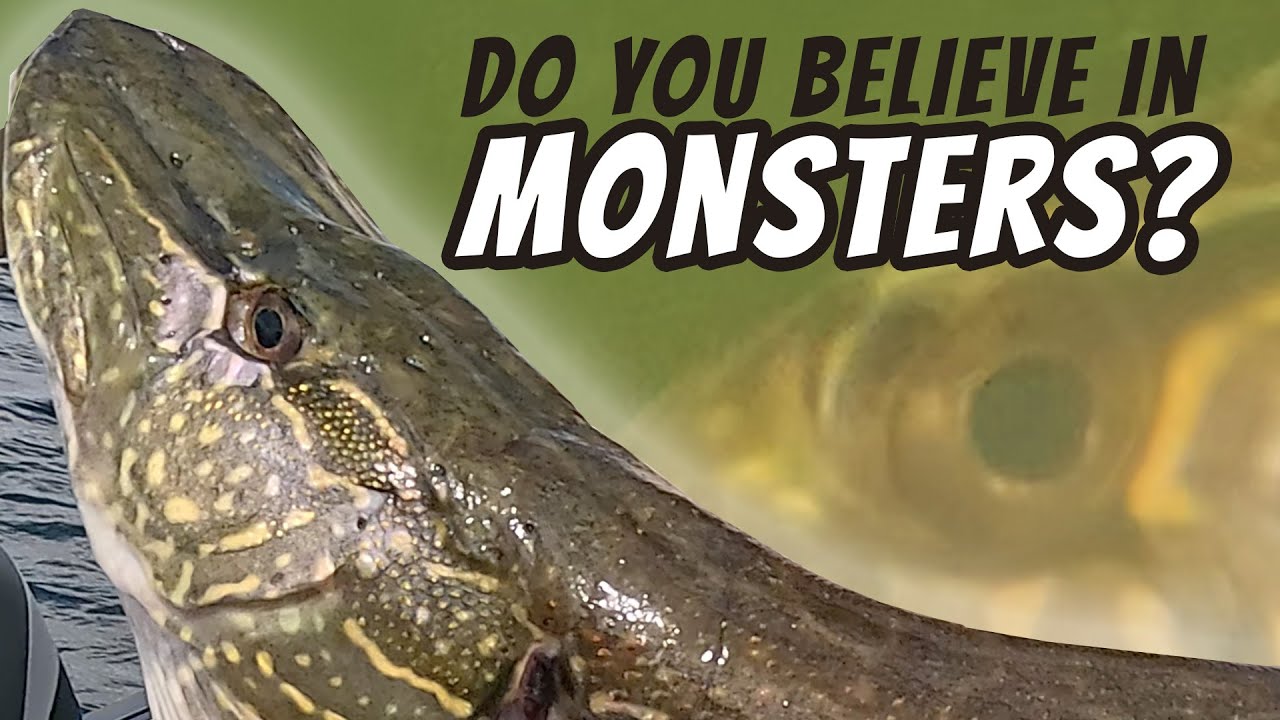 We Caught a Monster Pike on Tichigan Lake!