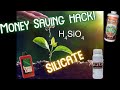 Whats the difference silicon potassium silicate silicic acid why you need it  money saving hack