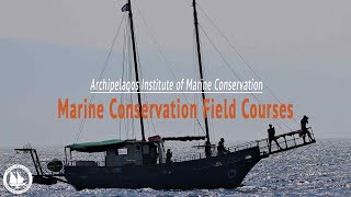 Marine Conservation Field Courses | Archipelagos Institute of Marine Conservation