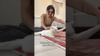 Taranmayı seven kedimiz var mı 🐈#hayvansevgisi #petlovers #kediliev #kediseverler