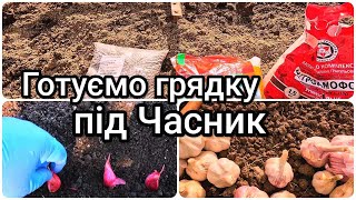 картинка: Підготовка грядки під озимий часник та цибулю