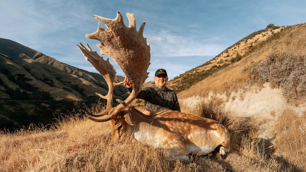 Venator New Zealand | Scott Hunts a World-Class Fallow Buck! - YouTube