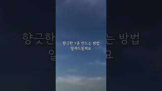 y존 향긋하게 관리하는 방법 0502 디안케트 y존케어 #요실금 #속궁합 #질냄새 #분비물 #질가려움 #질염 #질세정제 #질건조 #여성청결제추천 #부부관계젤