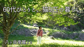 [Yatsugatake Southern Foothills Episode 155] Nature always speaks to the five senses