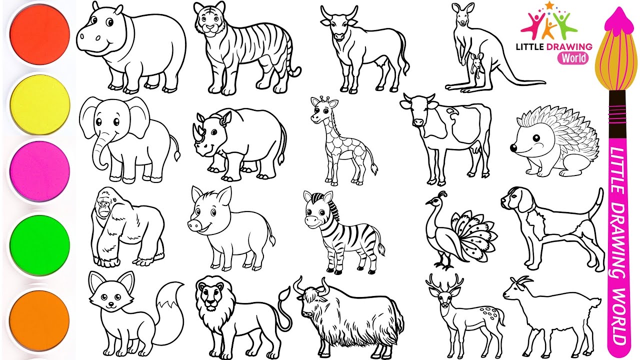 Draw Amazing Animals in 60 Minutes | Easy Step by Step Tutorial | How ...