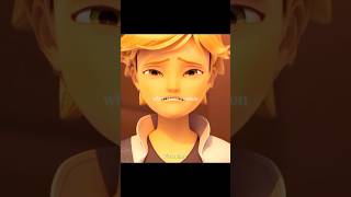 In The Name Of Love miraculous miraculousladybug
