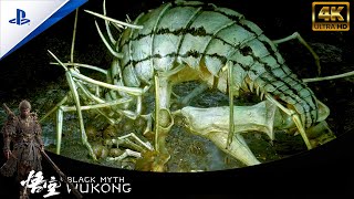 CENTIPEDE GUAI CHAPTER 4 BLACK MYTH WUKONG P48