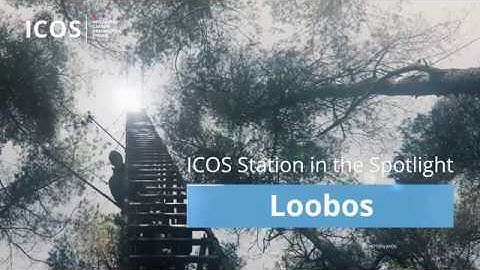 #ICOScapes | Loobos (Netherlands) | Greenhouse gas observations