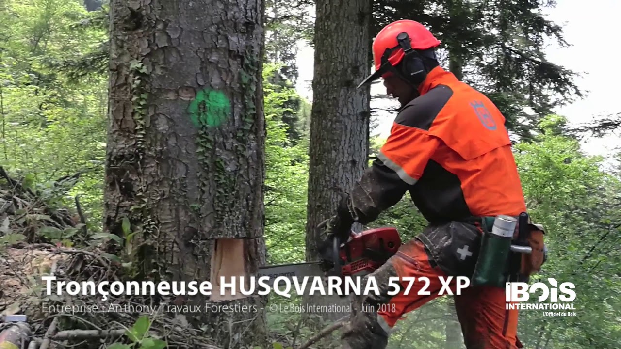 Un bucheron-débardeur haut-savoyard teste la nouvelle tronçonneuse Husqvarna  572 XP 