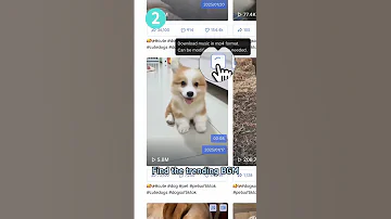 How To Download Trending TikTok Sounds Music MP3 MP4 Tiktokvideo Tiktokdownloader Tiktokviral 