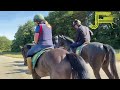 Newmarket Gallops 16/07/22 - Julia Feilden Racing