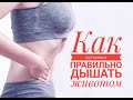 Техника дыхания животом. Три упражнения чтобы научиться дышать животом. Диафрагмальное дыхание.