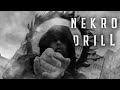 Stygle  nekro drill