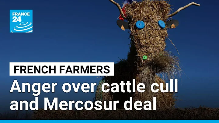 French farmers contest cattle disease measures and Mercorsur deal • FRANCE 24 English
