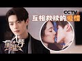 《星推荐》杨紫×许凯首次搭戏 欢喜冤家双向奔赴 20240421【CCTV电视剧】