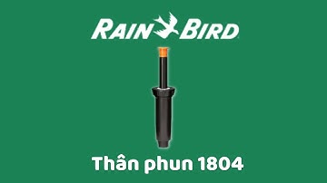 Thân phun 1804 Rainbird, pop up 10cm