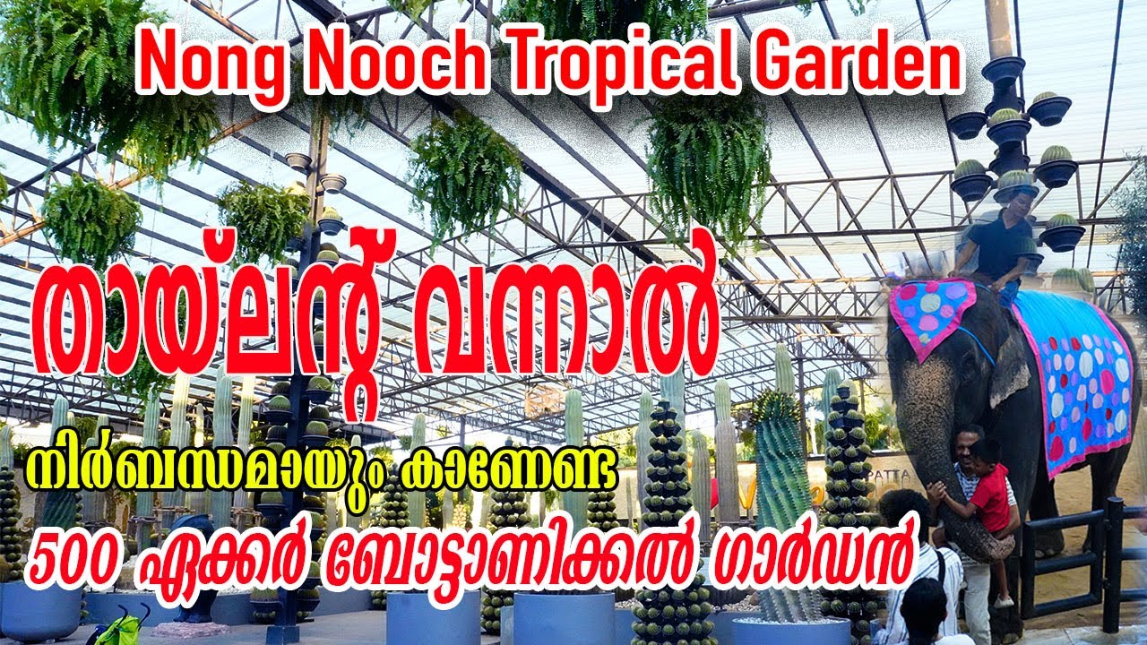 നോങ് നൂച് വില്ലേജ് | 500 ഏക്കർ ബോട്ടാണിക്കൽ ഗാർഡൻ | Nong Nooch Tropical Garden 