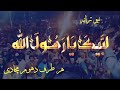 Labbaik Ya Rasool Allah | New Tarana | Tehreek Labbaik Pakistan #new #tarana #labbaik #viral