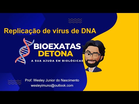 Vídeo: Como os vírus ssDNA se replicam?