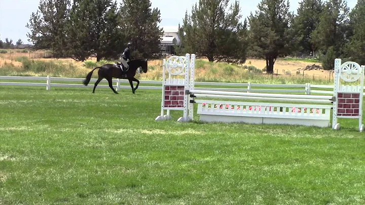 Demi Evrigenis and Catendro Equitation 16-17 Round...