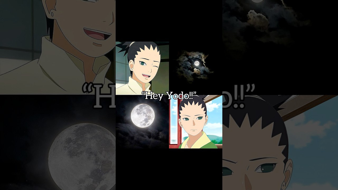 Naruto x nature part-5🌺✨ [ me gustas tu🍁] 