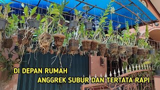 BISA JADI INSPIRASI, ANGGREK DI DEPAN RUMAH, SUBUR DAN TERTATA RAPI