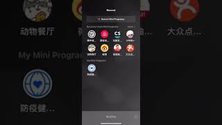 How WeChat Mini Program Works screenshot 2