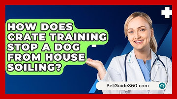 How Does Crate Training Stop A Dog From House Soiling? - PetGuide360.com