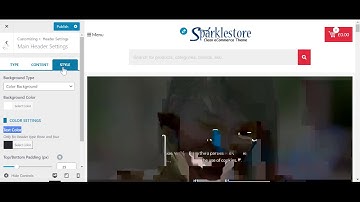 Sparkle Store Theme Header Settings