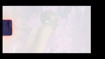 deeplay4keeps x DD osama -Os let