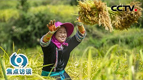 2023年中央一号文件部署新一年"三农"工作，事关十四亿人“饭碗”的大事，中央释放出哪些重要信号？| CCTV“焦点访谈”20230214 - 天天要闻
