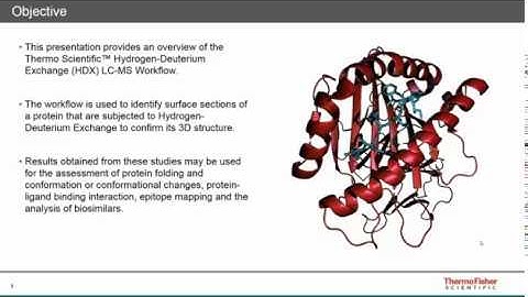 Understanding Hydrogen Deuterium Exchange (HDX) LC-MS Workflow for Biopharmaceuticals