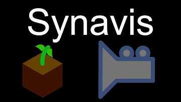Synavis: Coupling FSPM Visualization to Graphics Engines
