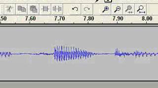 Audacity for Podcasting.flv