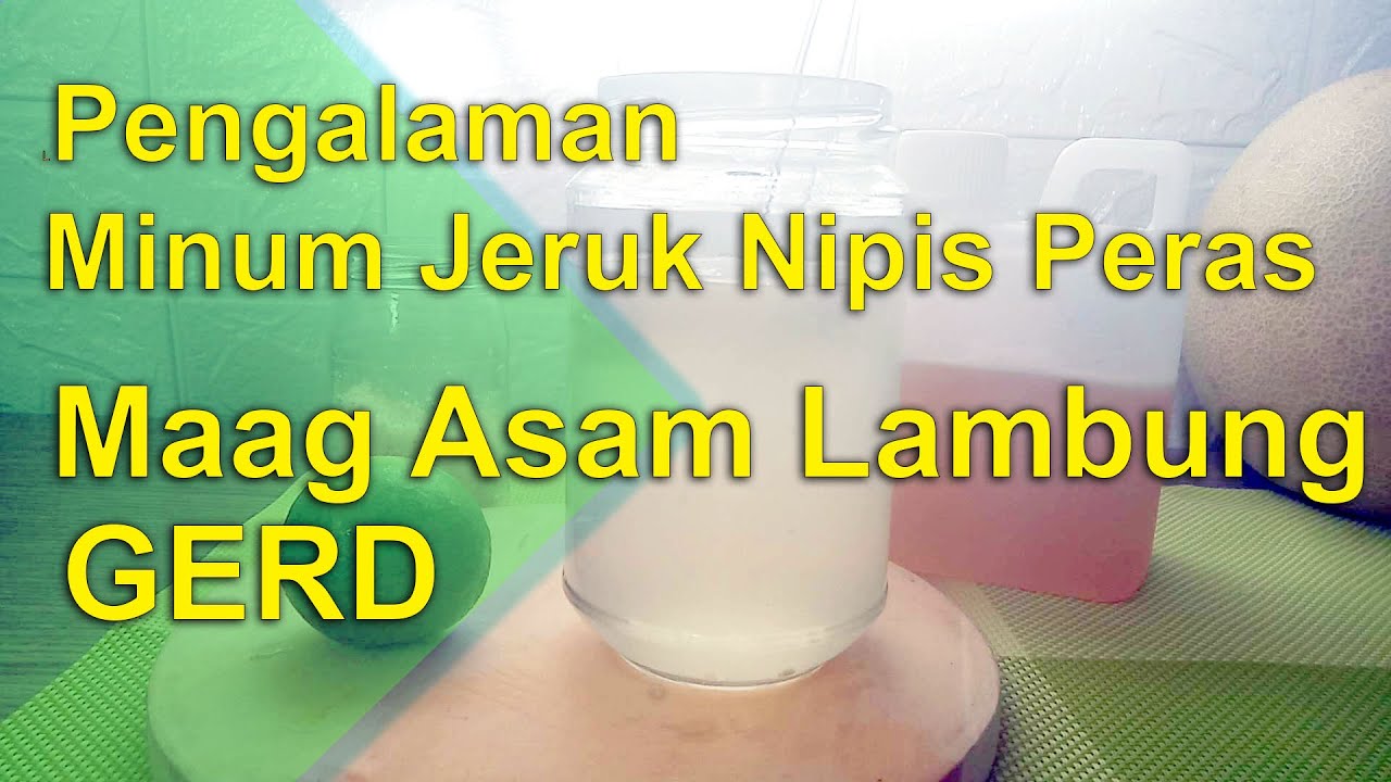 Jeruk Nipis Untuk Maag | Asam Lambung | GERD 