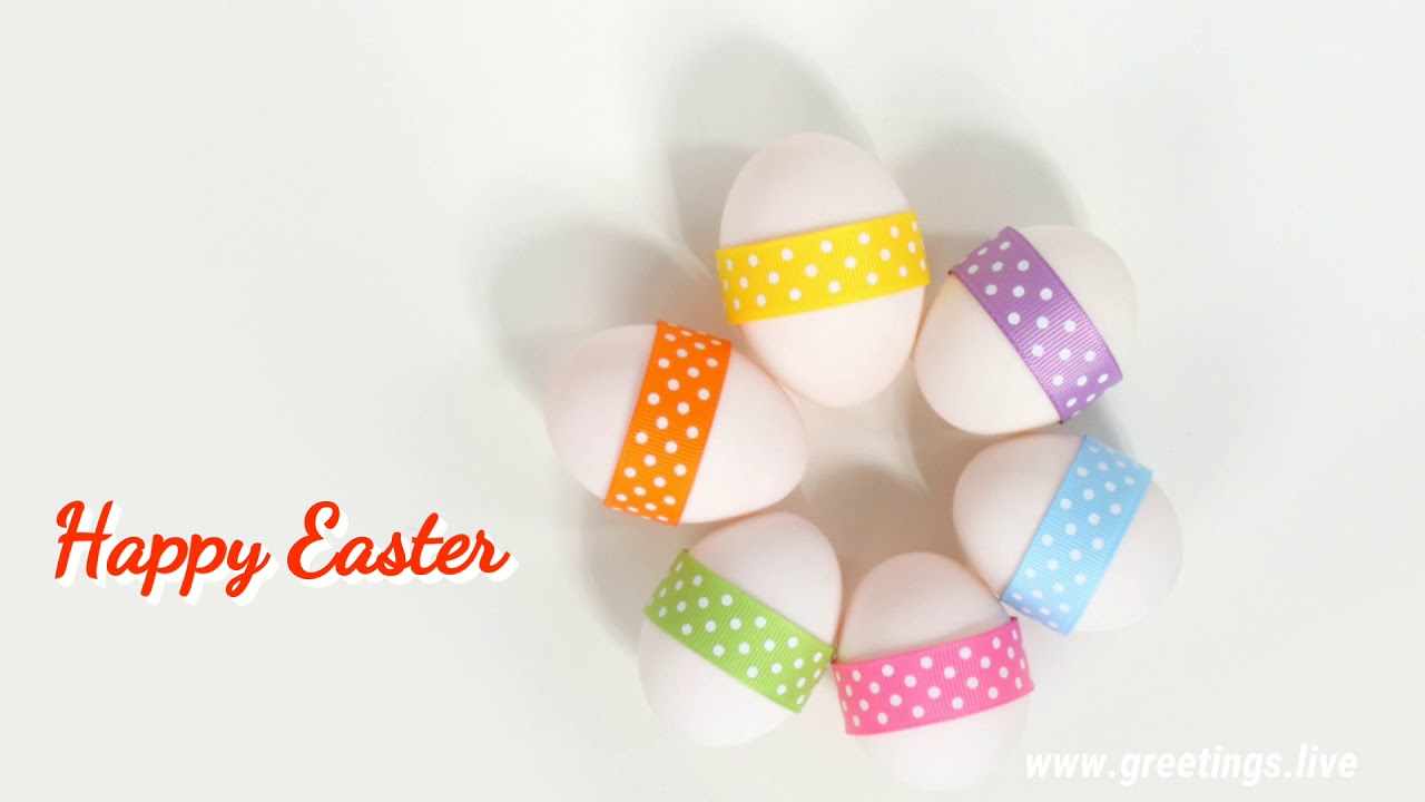 Beautiful flowers Easter Festival Wishes Video full HD greetings