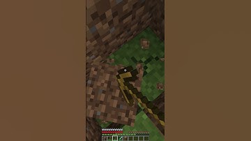 MINECRAFT BUT IF YOU SUBSCRIBE I GET RANDOM ITEMS #minecraft #shorts