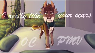 || I like your scars || OC PMV
