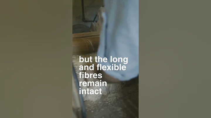 “Flax to Linen, Seed to Fibre” - Breaking