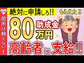 【絶対に申請しろ‼】政府から高齢者へ80万円支給!申請したらもらえる制度!【敬老パス/年金生活者支援給付金/補聴器購入補助制度】