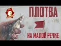 Плотва зимой: место, прикорм, мормышки